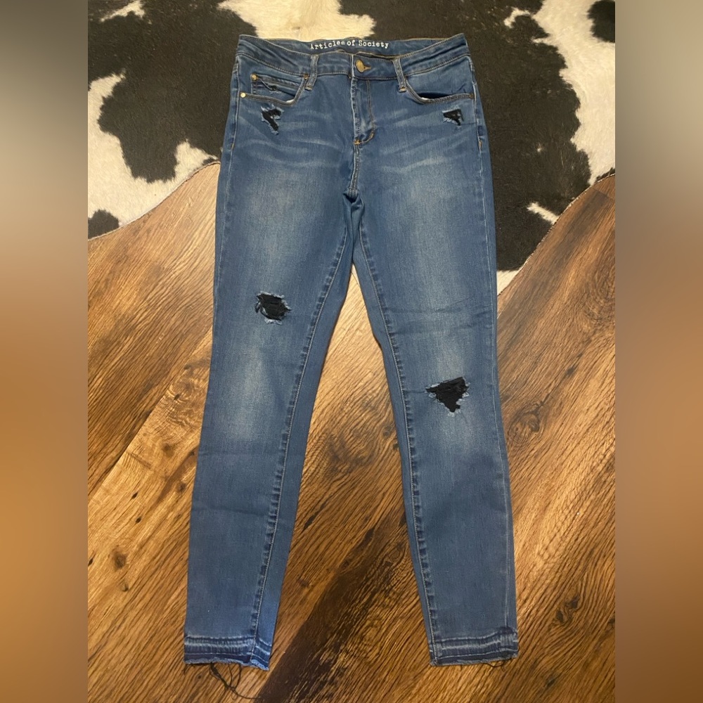 Articles of Society Skinny Jeans Size 29